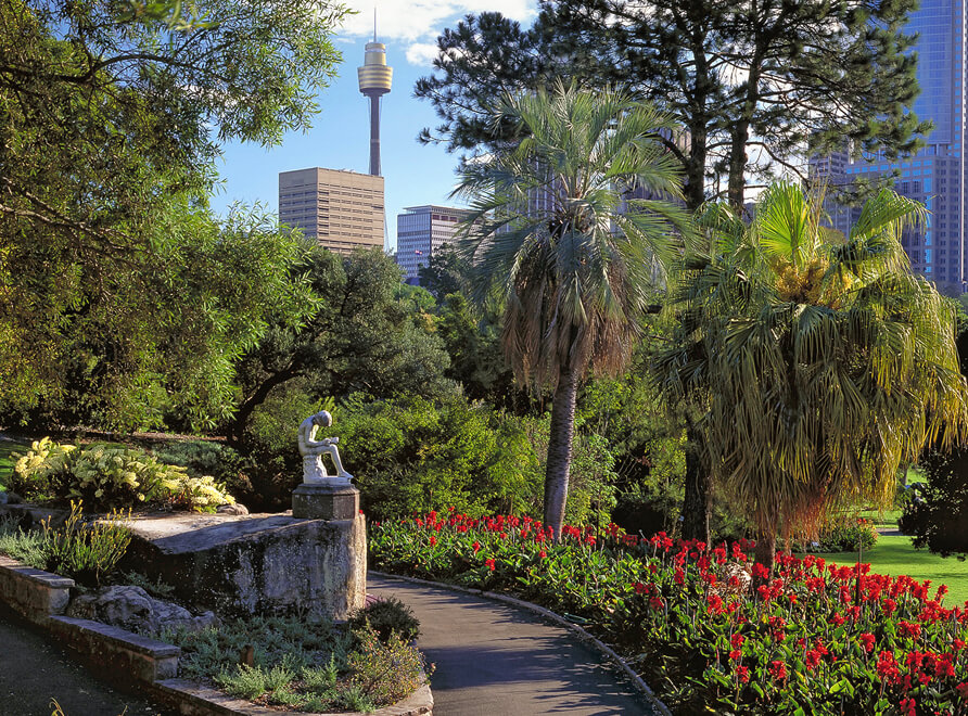 the Royal Botanic Garden serves as a tranquil retreat where visitors can escape the hustle and bustle of the central business district (CBD) and immerse themselves in the stunning beauty of nature. 