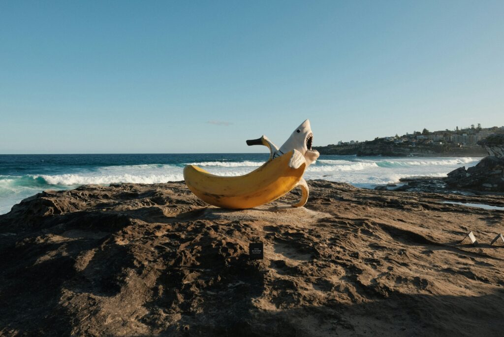 An outdoor exhibition transforming the coastal walk into an open-air gallery.