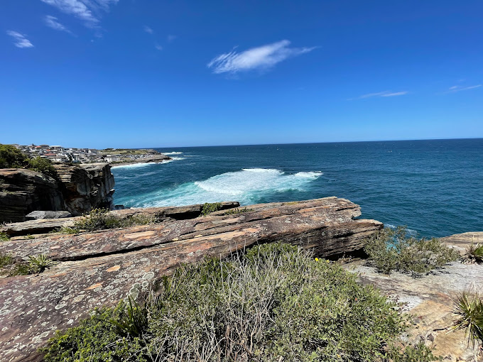 Dunningham Reserve:
Perched on the northern headland, this park offers panoramic views of the coastline and is a favorite spot for photographers.