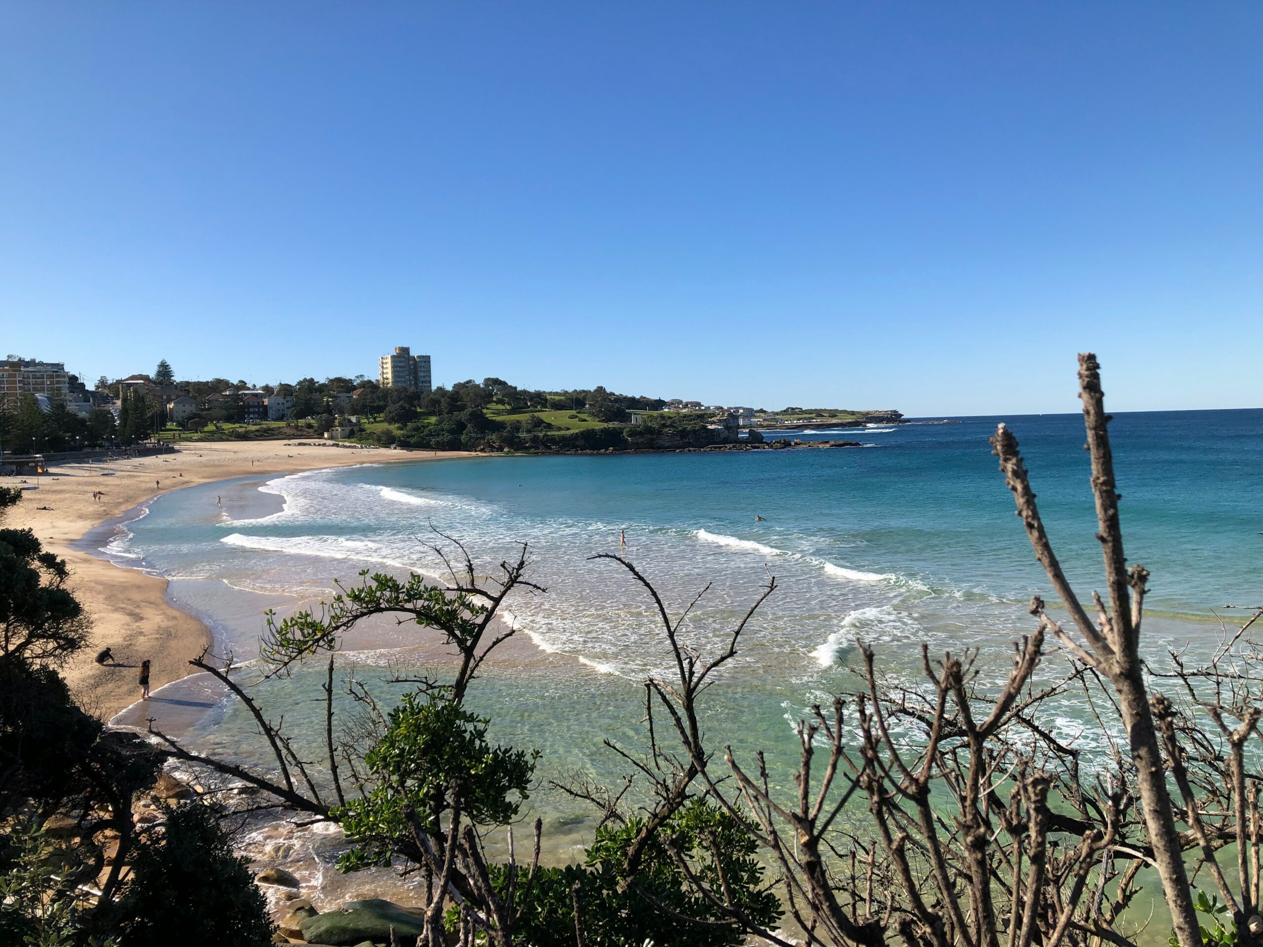 戈尔茨坦保护区（Goldstein Reserve）： 沙滩旁的公园，设有野餐亭、烧烤区和宽敞的绿地。