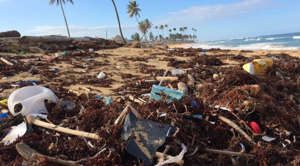 The increase in tourist activity has raised concerns about littering, vegetation damage, and local wildlife disruption.