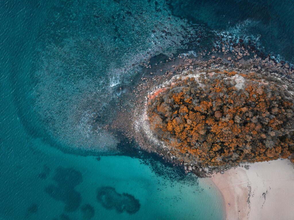 Exploring Shelly Beach: A Tranquil Retreat in Sydney's Northern Beaches