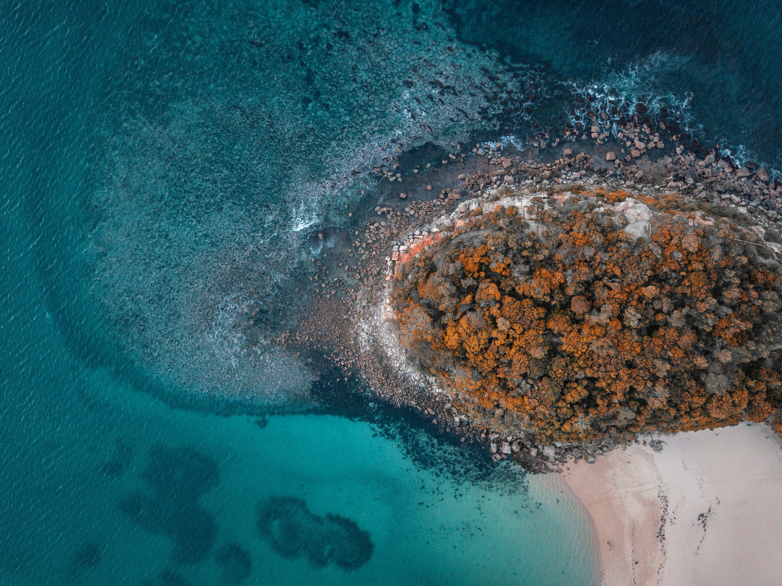 Exploring Shelly Beach