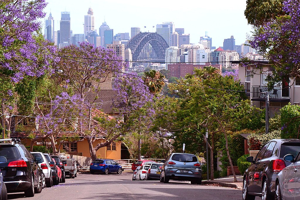 Why Neutral Bay is Great for Airbnb Hosting