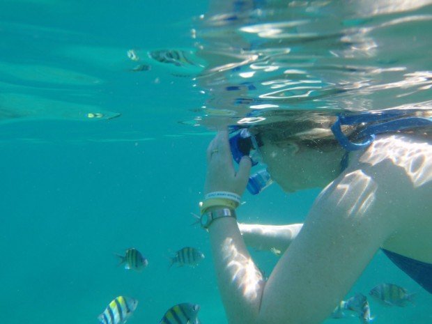 Snorkeling and Paddleboarding